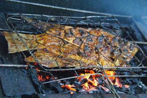 Ikan Bakar Dan Sate Gurita 3