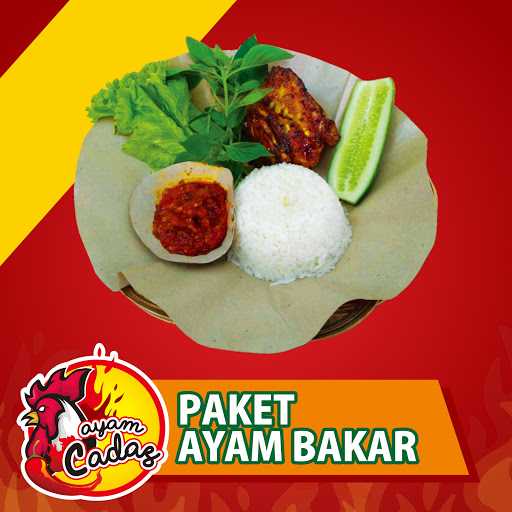 Ayam Cadas 9