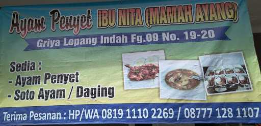 Ayam Penyet Ibu Nita 4