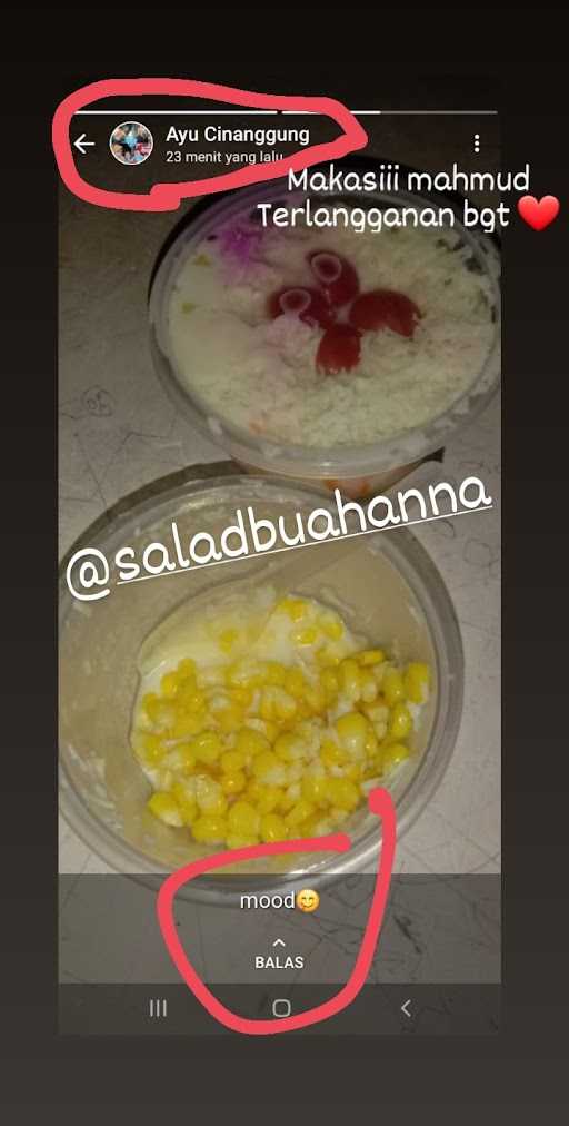 Salad Buah Anna 4