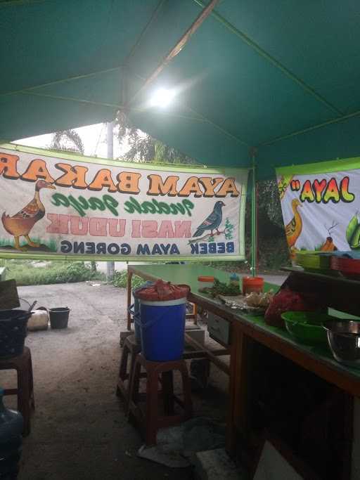 Ayam Bakar Kalasan Evan 5