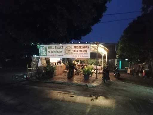 Angkringan Dua Pohon 3