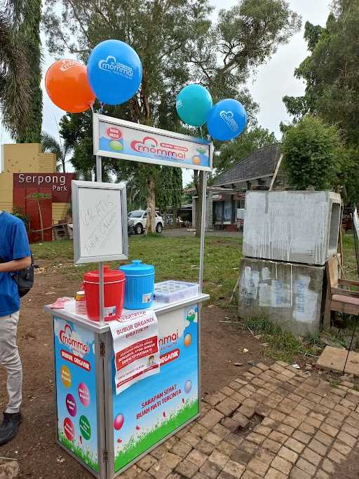 Bubur Organik Mommai Aiko Bsd Serpong Park 2