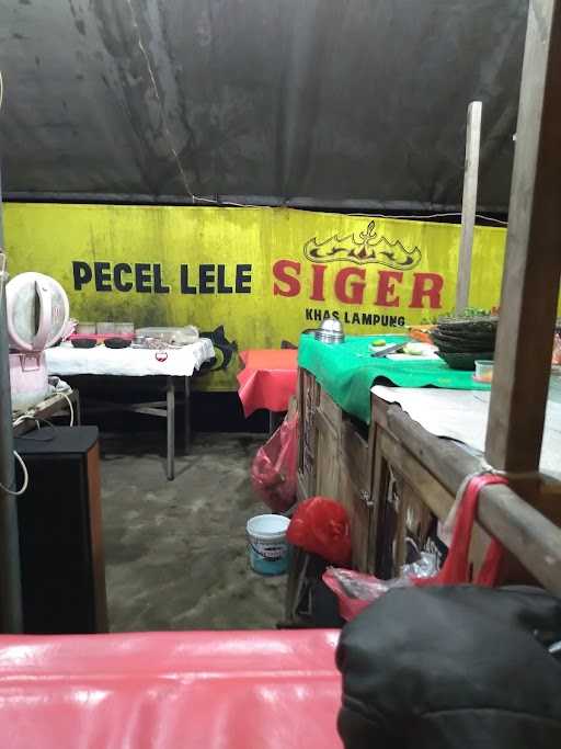 Pecel Lele Siger Khas Lampung 9