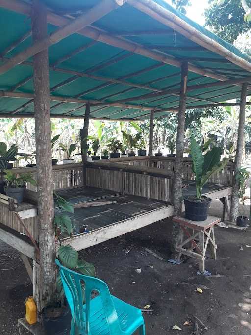 Warung Makan Pecak Mak Nirah 5