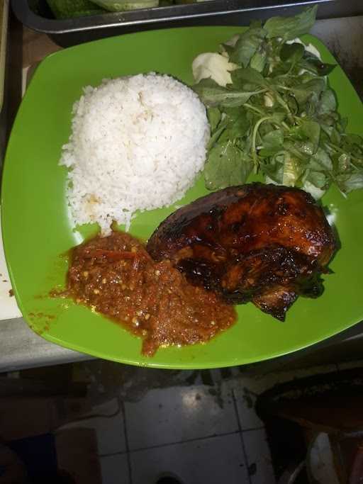 Ayam Bali Alfarr 7