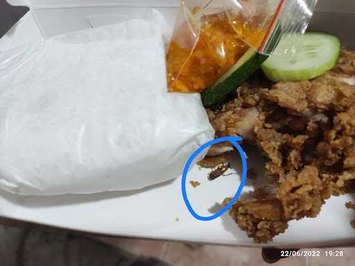 Ayam Geprek Omema Anggrek 3 9