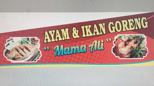 Ayam Goreng Mama Ali Setia Budi 3