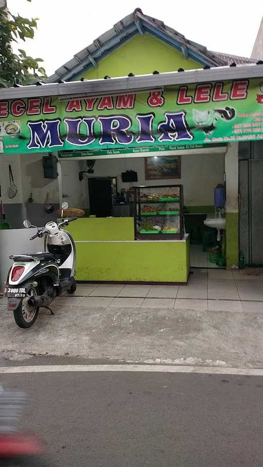 Pecel Lele Muria 10