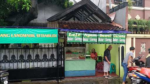 Pecel Lele Pak Kumis Cab Landmark 8