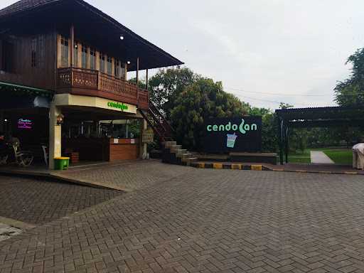 Cendolan 8