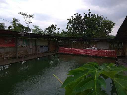 Pemancingan Pinggir Kali Bedog 4