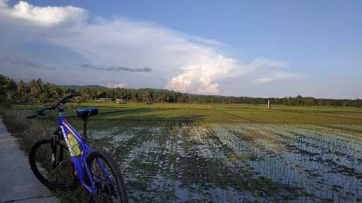 Warung Nasi Bu Saji 9