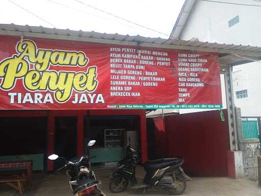 Lesehan Ayam Penyet Tiara Jaya 4