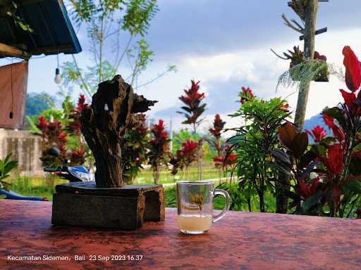 Warung Gaok (Palm Wine And Karaoke) 7