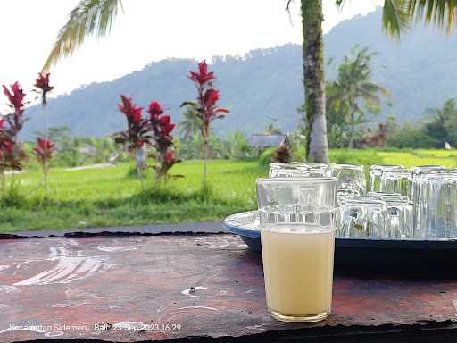 Warung Gaok (Palm Wine And Karaoke) 3