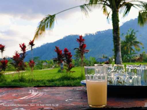 Warung Gaok (Palm Wine And Karaoke) 1