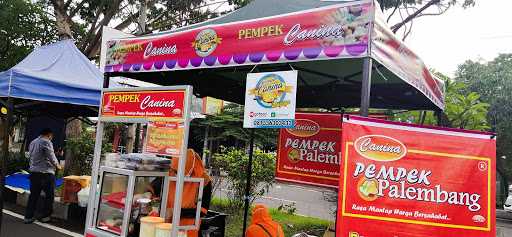 Pempek Canina Cfd 2