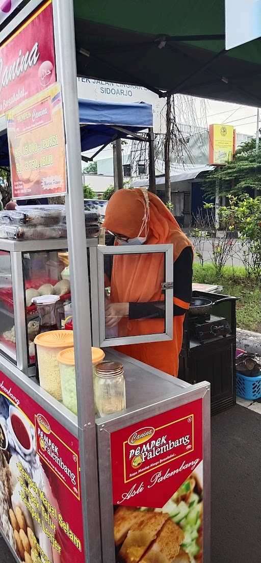 Pempek Canina Cfd 3