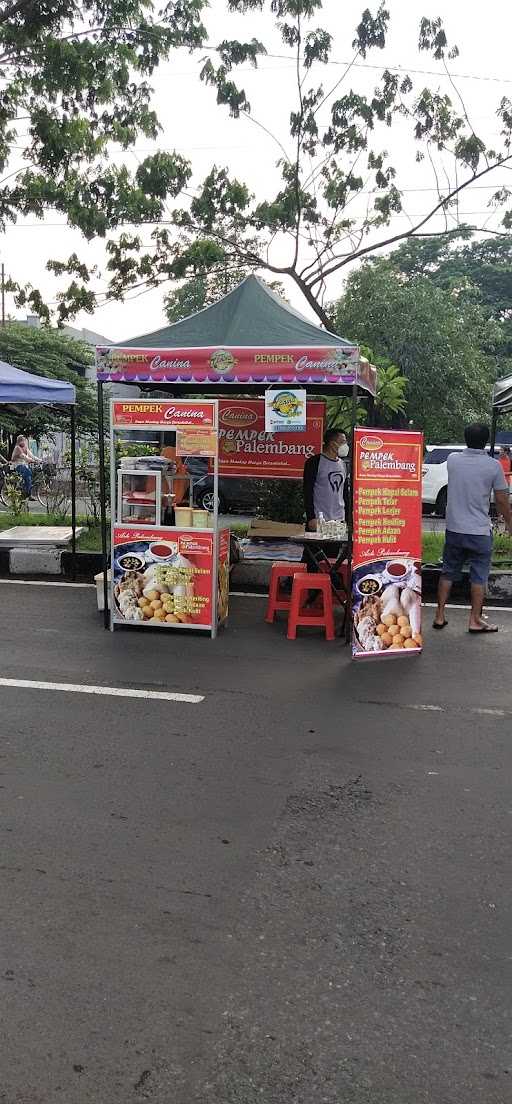 Pempek Canina Cfd 1