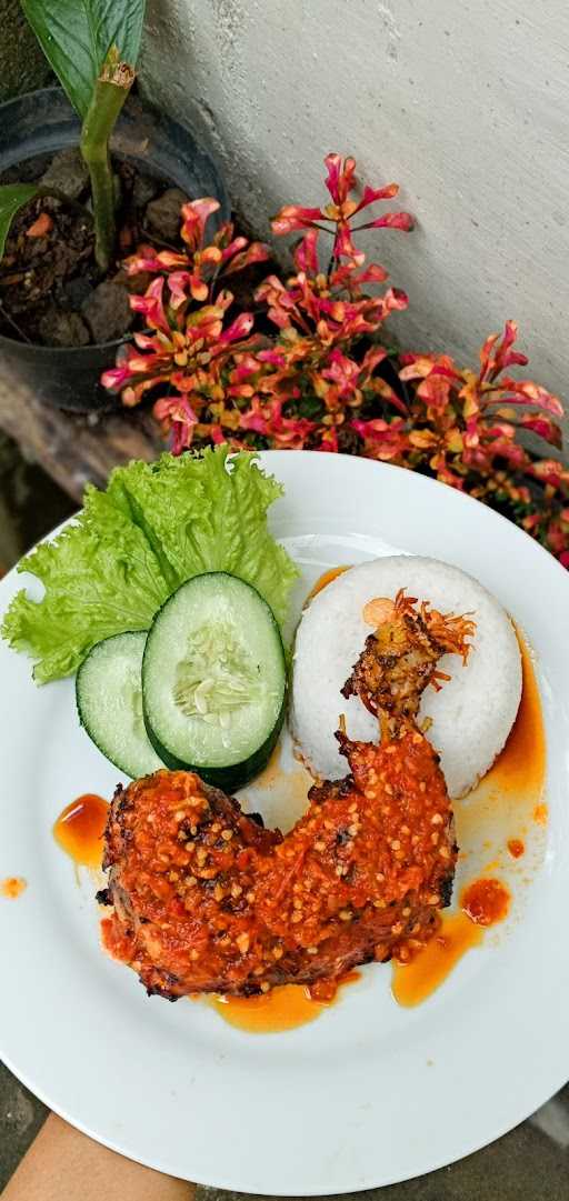 Ayam 4Sekawan 8