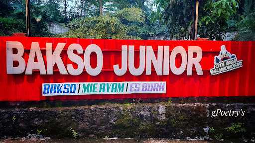 Bakso Junior 10