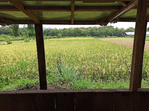 Soto Sawah Mbak Rini 5