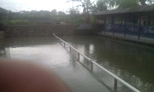 Fishing Place Safira Gold 2