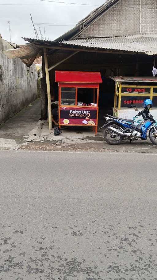 Bakso Ayu Bungsu 6