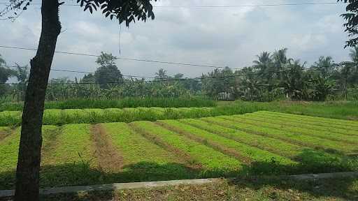 Rumah Makan Sejahtera 6