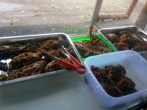 Warung Nasi Pangasoan 1