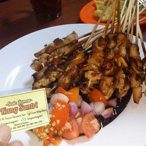 Sate Jamur Kang Santri 3