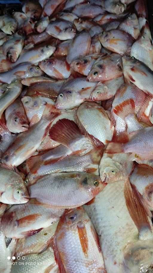 Depot Ikan Laut Mas Budi 5