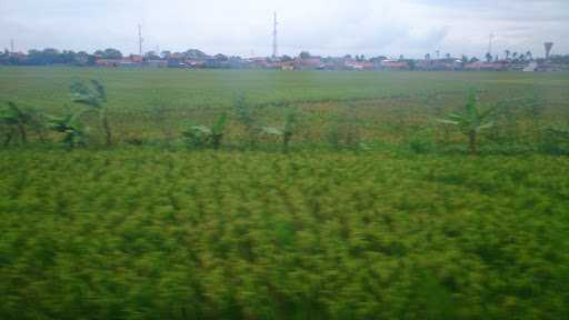 Bakso Suro Sleman 5