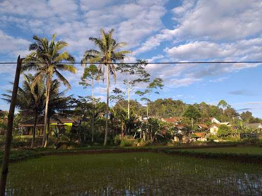 Saung Bamboo Miniatur Haz 10