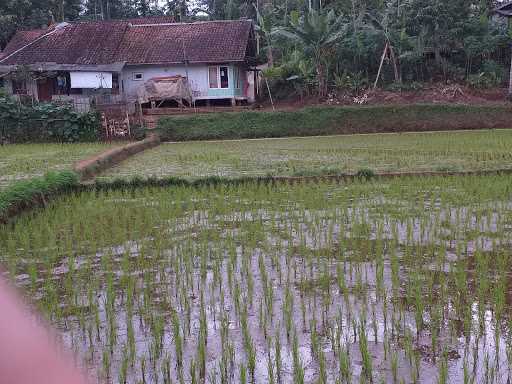 Saung Bamboo Miniatur Haz 9