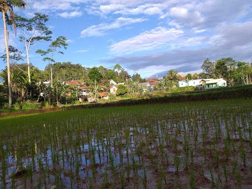 Saung Bamboo Miniatur Haz 6