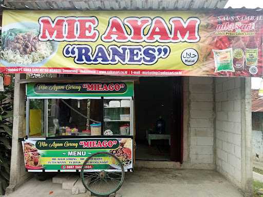 Miago. ( Mie Ayam Goreng) Ranes 3