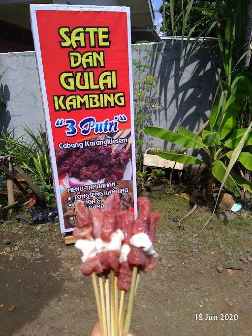 Warung Sate 3 Putri 3