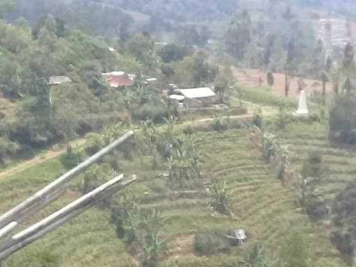 Kebun Galuma 4