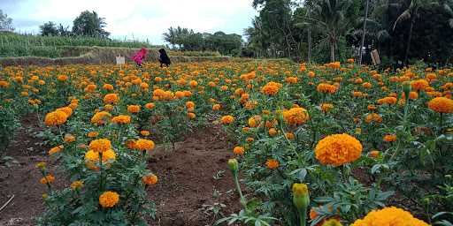 Pondok Batu Cangku 2