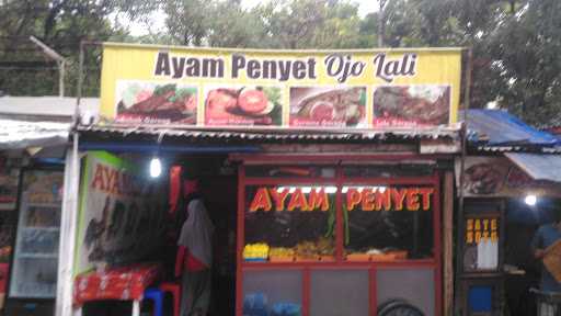 Ayam Penyet Ojo Lali 8