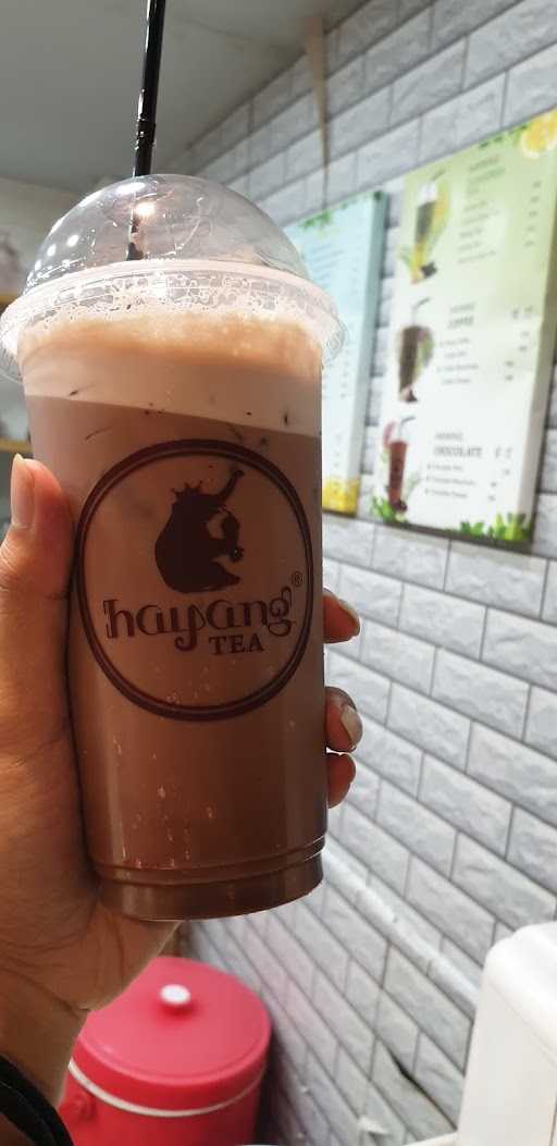 Hayang Tea 1