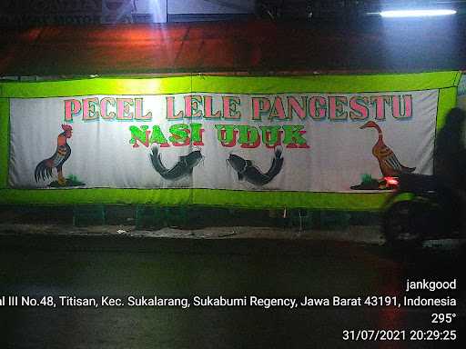 Pecel Lele Pangestu Mas Gondrong 4