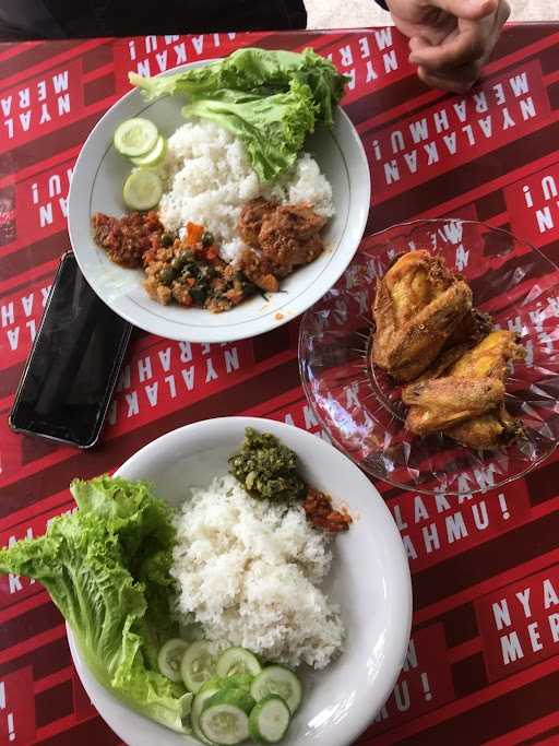 Warnas Ayam Kampung 114 1