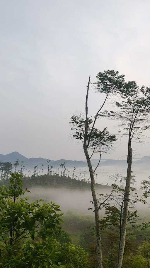 Warung Gunung Buled 8