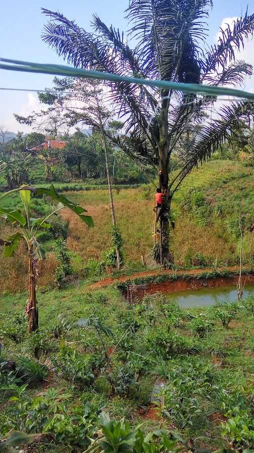 Warung Jajanan Omah Jamilah Omj 5