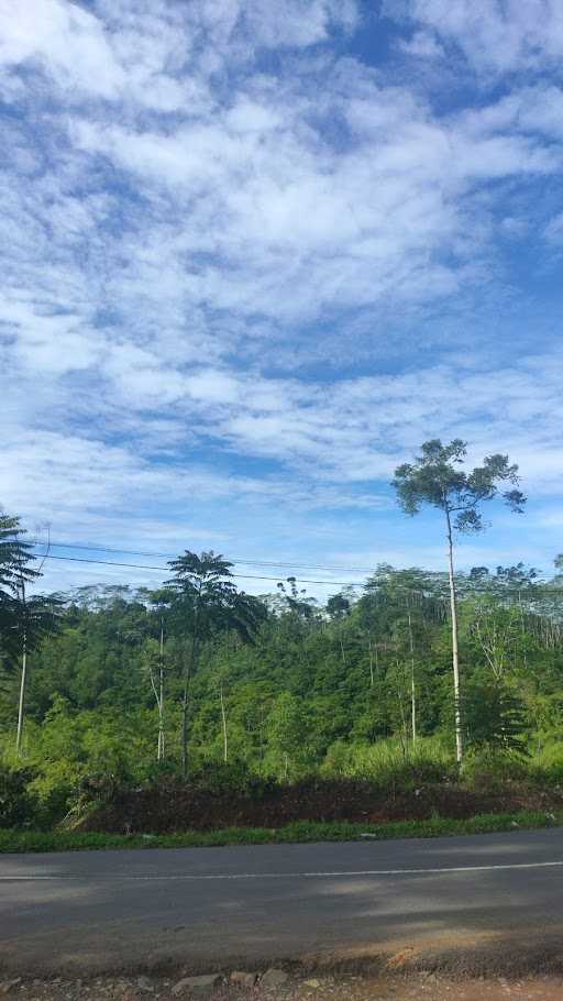 Warung Baso Puncak Asmara 8