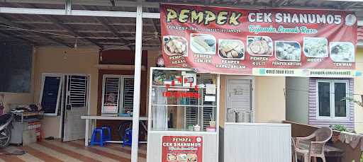 Pempek Cek Shanum05 7