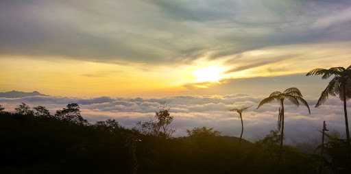 Warkop Puncak Kawah 8